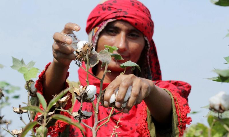 ۵ افسانه کشاورزی در پاکستان که باعث عقب ماندن این محرک عظیم اقتصادی شده است