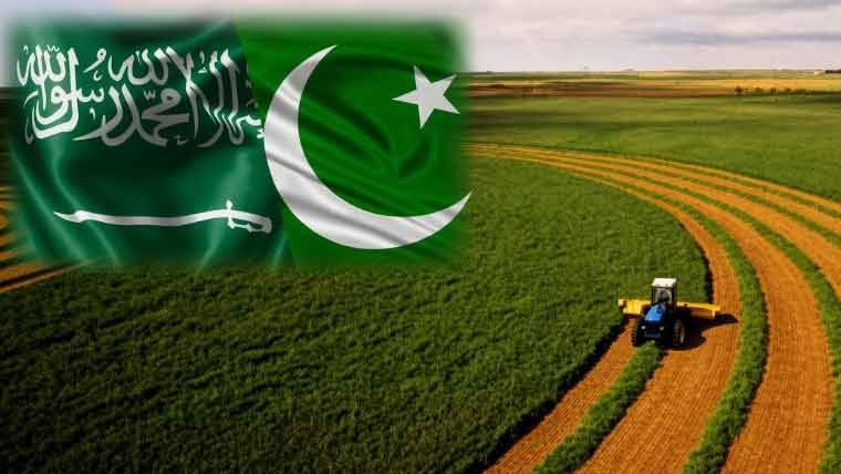توافق پاکستان و عربستان برای افزایش صادرات کشاورزی به ۳ میلیارد دلار