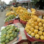 اعزام تیم بازرسی ایران به پاکستان برای بررسی مراکز فرآوری انبه
