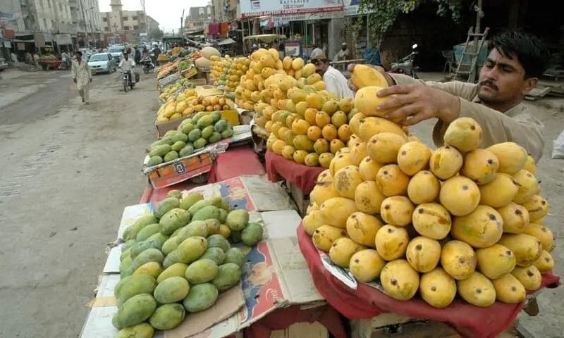 اعزام تیم بازرسی ایران به پاکستان برای بررسی مراکز فرآوری انبه